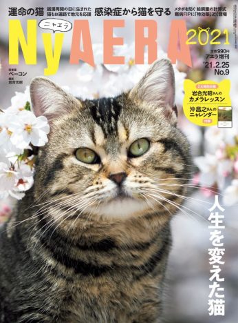 『NyAERA（ニャエラ）』人生を変えた猫特集　岩合光昭が表紙撮影＆撮影テク解説
