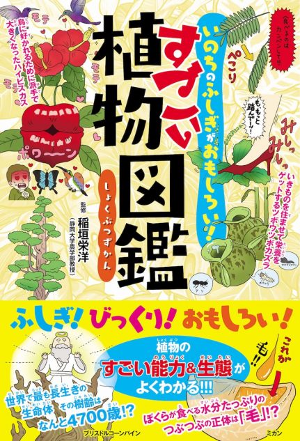 百獣の王にも勝つライオンゴロシ 人間に踏まれて繁殖するオオバコ 植物好き必見 すごい植物図鑑 Real Sound リアルサウンド ブック