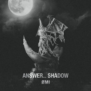 「ANSWER…SHADOW」の画像