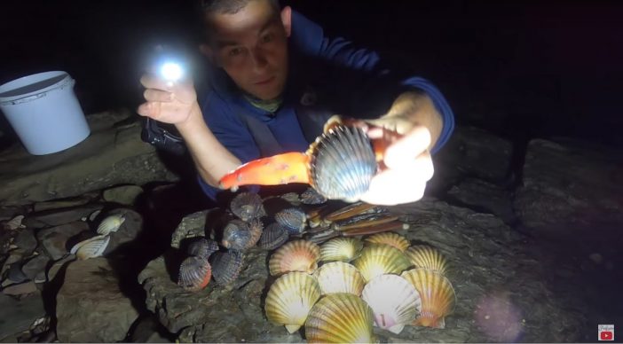 岩にムール貝がびっしり！　海の恵みを食べつくす英国発“シーフード系YouTuber”の贅沢すぎる生活