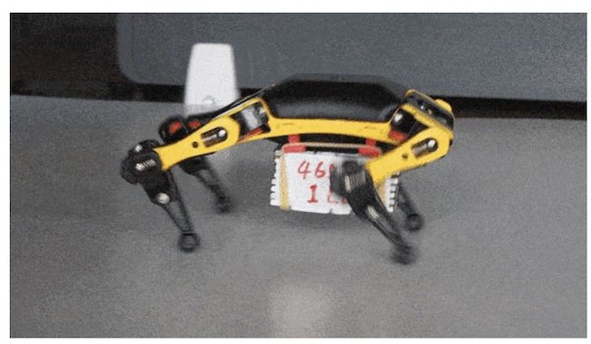 四足歩行の犬型ロボットが自作できる！ プログラミング教育にも役立つ