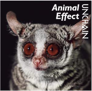 UNCHAIN『Animal Effect』