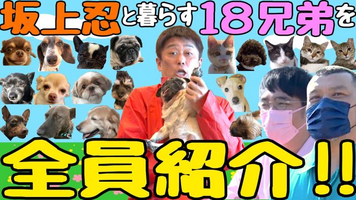 坂上忍、まさかのYouTuberデビューで成功なるか？　18匹の犬猫紹介に番組の裏話も