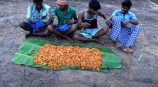 インドの村から届けられる豪快な料理動画の画像