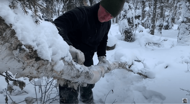 氷点下での過酷なサバイバル動画の画像