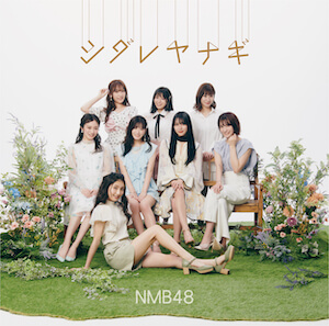 NMB48『シダレヤナギ』（Type-B）の画像
