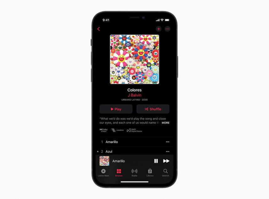 Apple Music「ハイレゾロスレス」を聞くために必要なもの