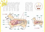 柴犬＆コーギーの健康を守るために　専門誌による犬種別「病気の本」が2冊同時発売