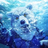 MAN WITH A MISSION、「INTO THE DEEP」MV公開　の画像