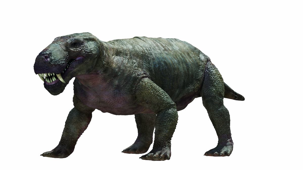 ティラノサウルスは羽毛でモフモフだった ダーウィンが来た 敏腕ディレクターが語る 古生物のアップデート Real Sound リアルサウンド ブック