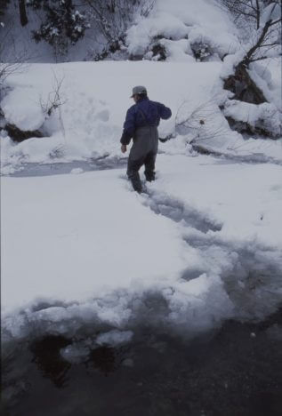 投げ入れた雪を感じきでしっかり踏み固める。これで作業の第一段階は完了。その後川下に下って魚の追い込みが始まるの画像