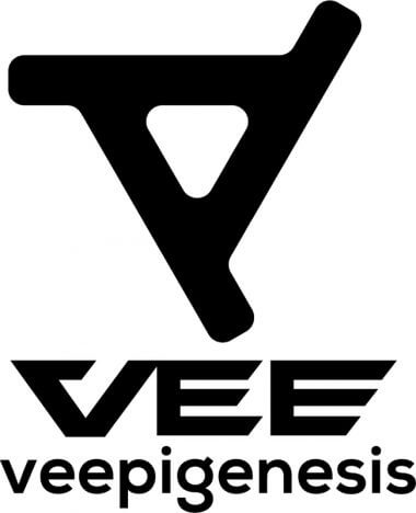 VTuberプロジェクト「VEE」立ち上げ