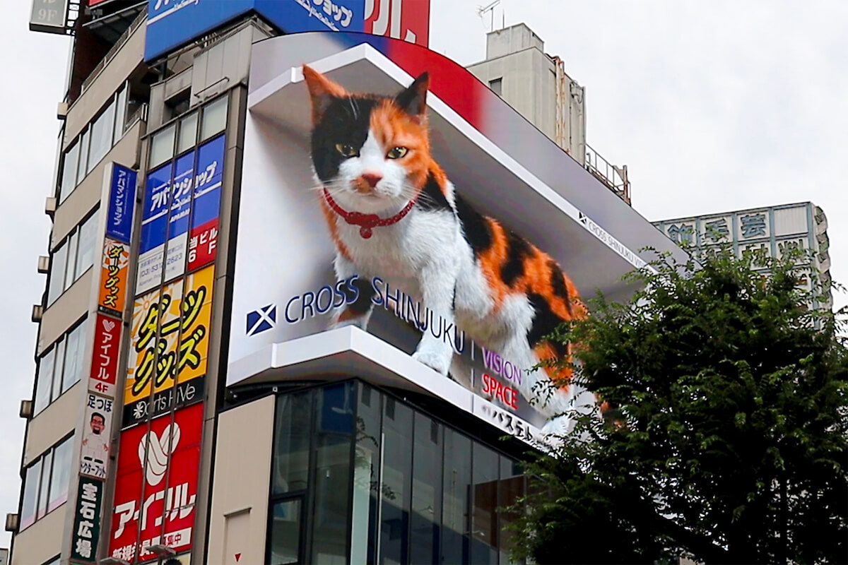 巨大猫など“3D広告”は世界中で流行？