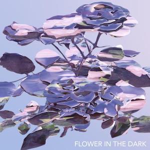 「Flower In The Dark」