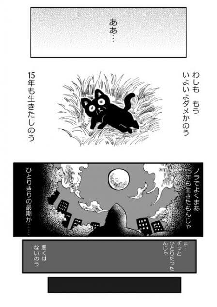 【漫画】孤独な老猫の運命は？