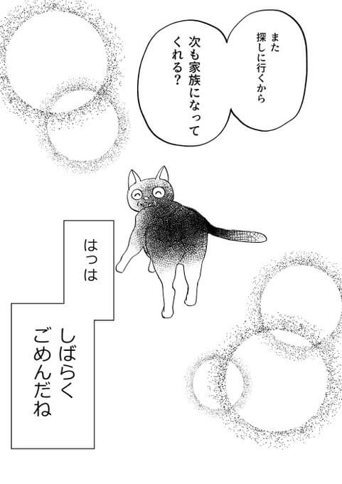 【漫画】孤独な老猫の運命は？の画像