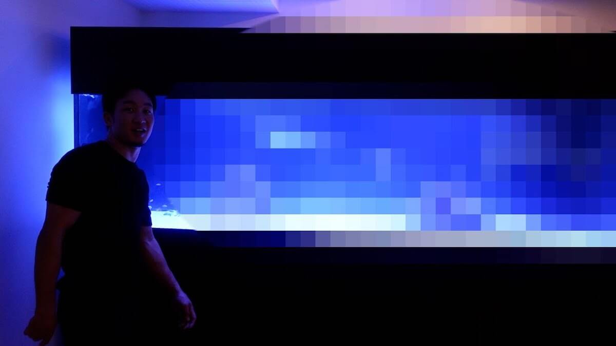 格闘家youtuber 朝倉未来 600万円で サメ を飼う 路上の伝説 はペットも規格外 Real Sound リアルサウンド テック