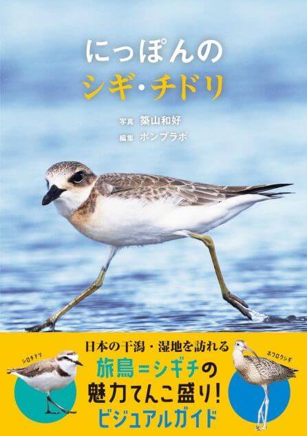 「シギチ」の魅力から楽しみ方まで徹底解説