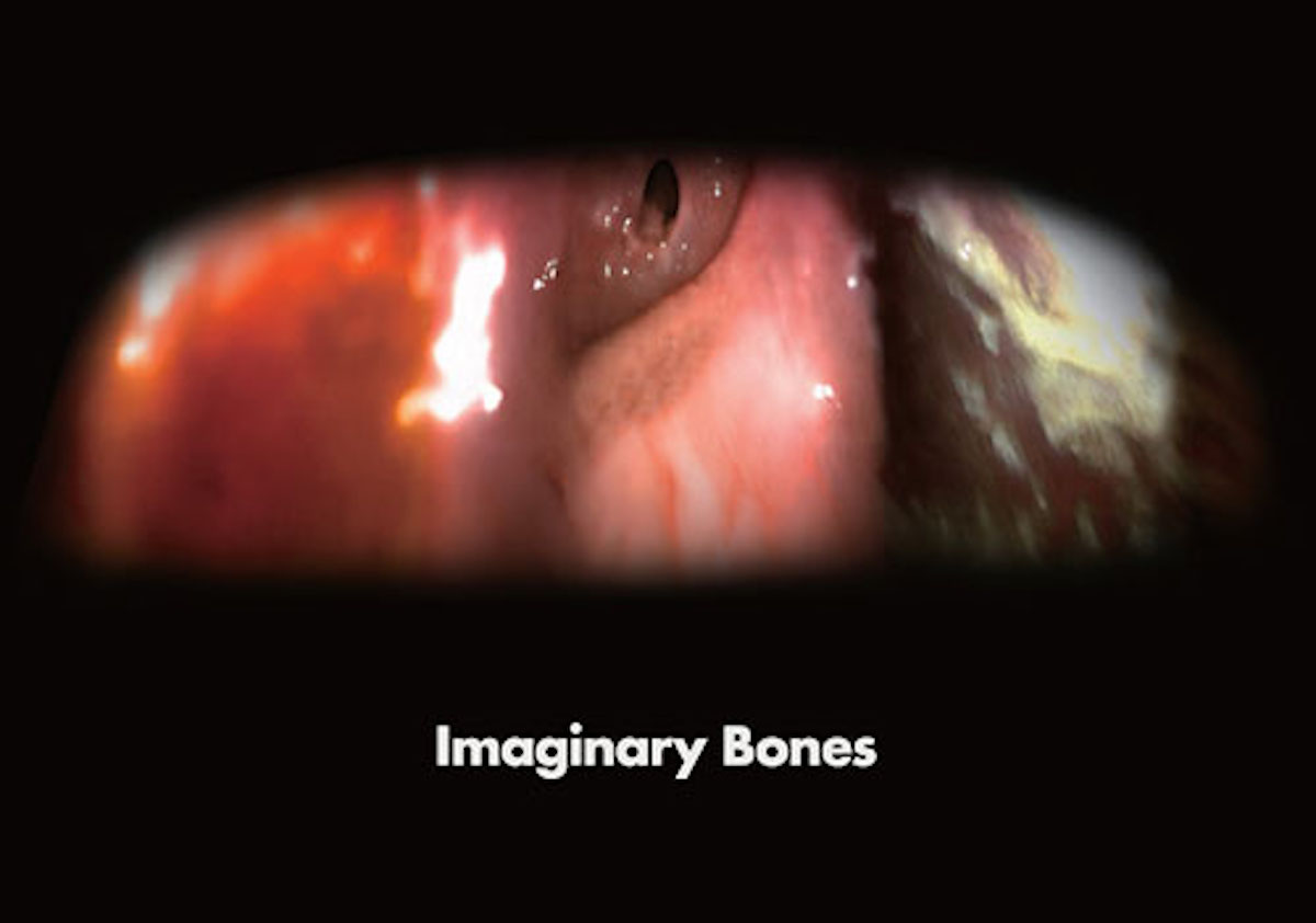 岸裕真の個展「Imaginary Bones」開催