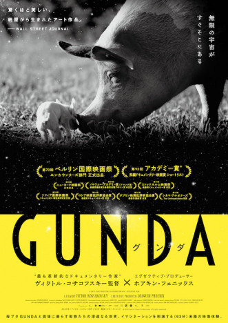 ホアキン・フェニックス製作『GUNDA』予告編公開　P・T・アンダーソンらのコメントも