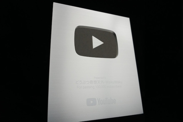 『どうぶつ奇想天外！』YouTubeが話題の画像