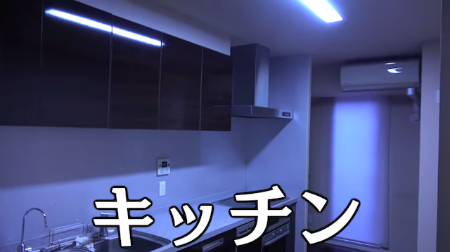 東海オンエア・りょう、豪邸に引越しの画像