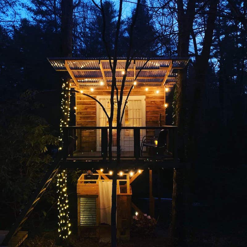 Airbnbのツリーハウスが州トップに