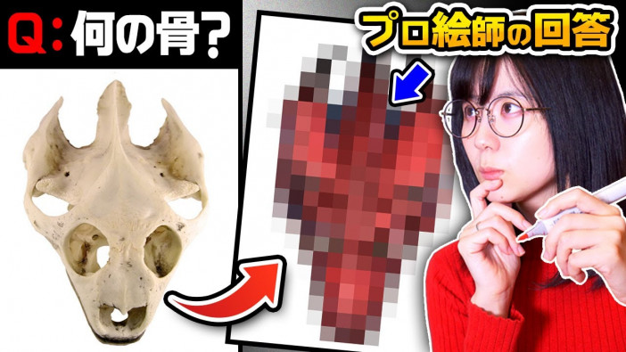 プロ絵師なら「骨」から元の動物を復元できる？　人気YouTuberの検証動画が面白い