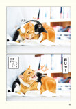 【ねこ写真】さらば青春の光の会長の画像