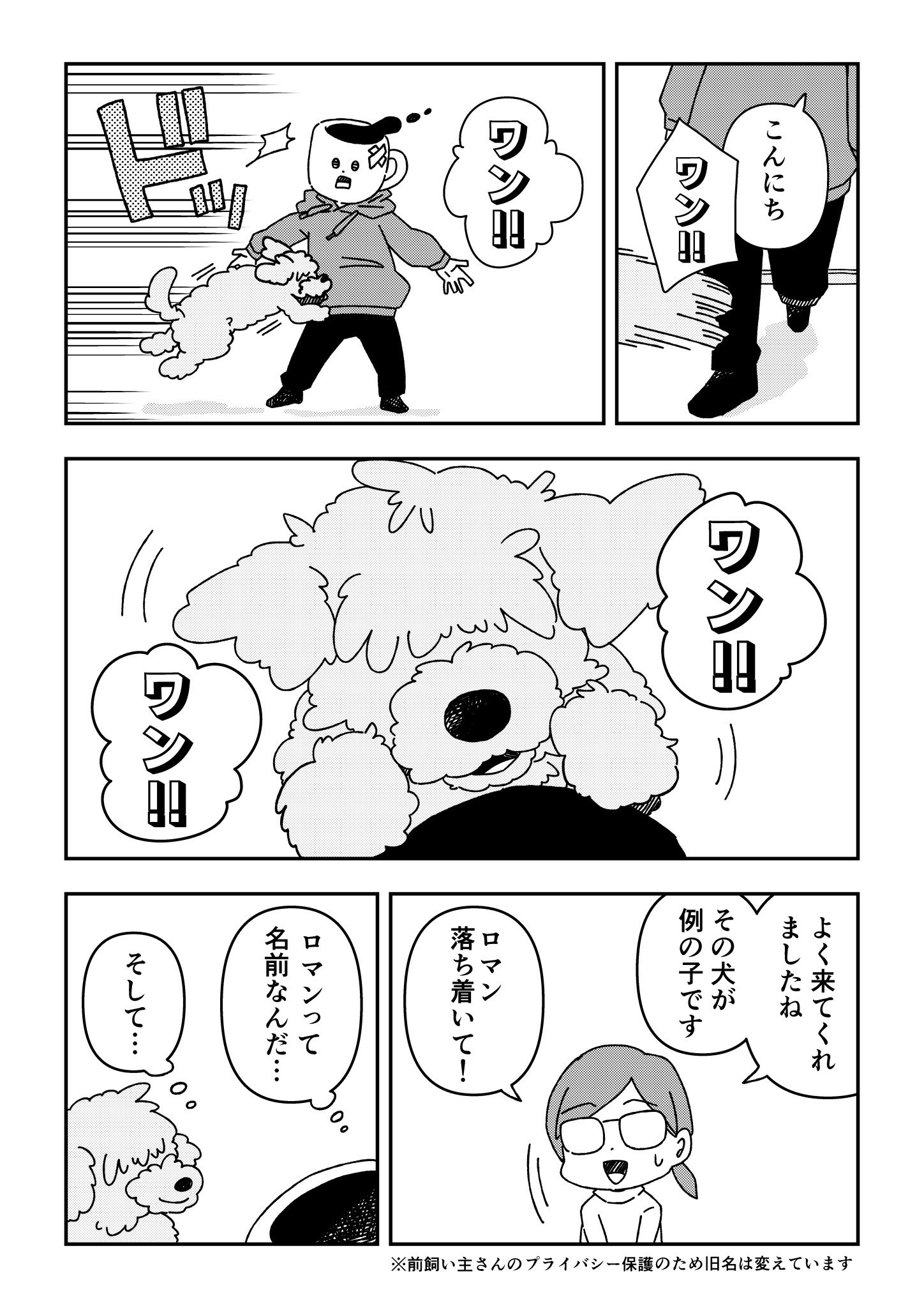 【漫画】ペットロスの乗り越え方の画像