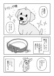 【漫画】ペットロスの乗り越え方の画像