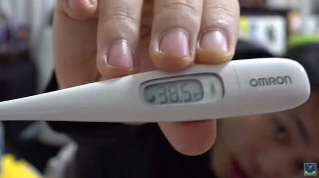 シルクロード、年明けに救急搬送の画像