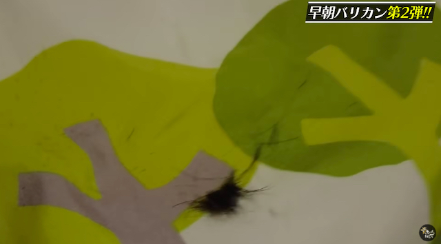 石橋貴明、ノッチに2度目の“早朝バリカン”の画像