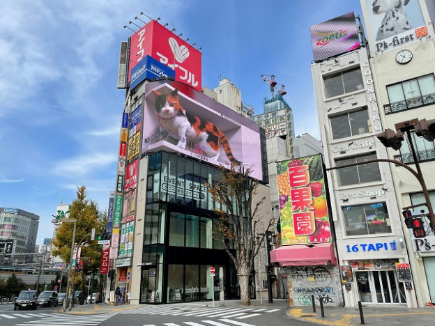 クロス新宿ビジョン『新宿東口の猫』