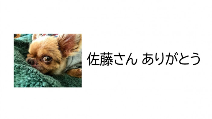 坂上忍、自身の飼い犬の逝去を報告