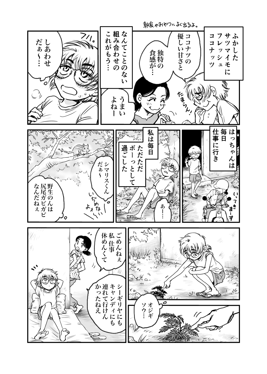 【漫画】スリランカの魅力とは？の画像