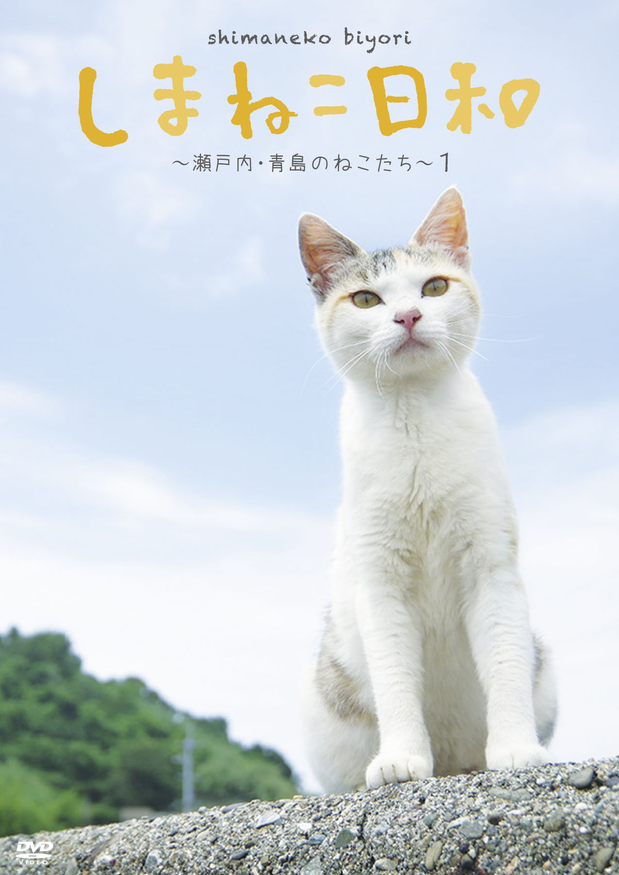 2022年2月22日「スーパー猫の日」記念 『しまねこ日和』から特別映像