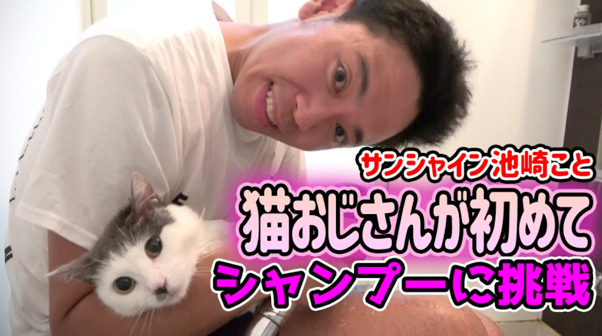 サンシャイン池崎と保護猫の微笑ましすぎる動画に大反響