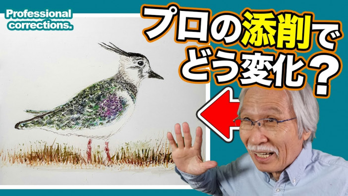 鳥の絵を“おじいちゃん先生”が添削