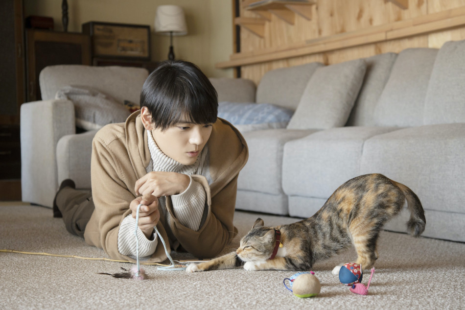 古川雄輝主演『ねこ物件』映画化決定 劇場版撮影時のメイキング映像も