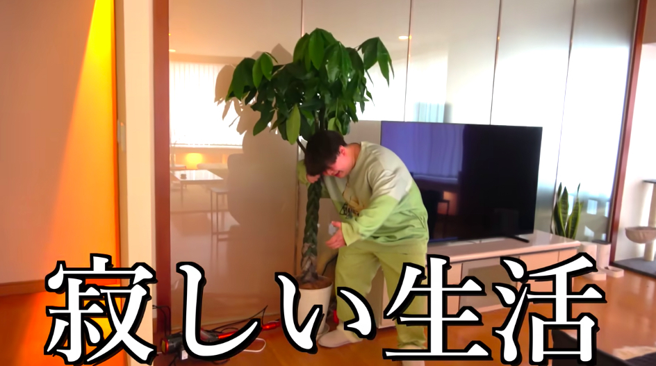 夜のひと笑い・こうくんの”YouTubeドリーム”の画像