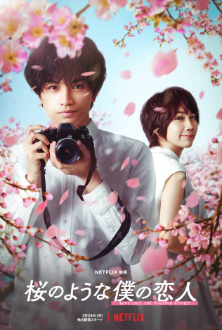 中島健人×永山絢斗、2人の“ケント”の好演光る　『桜のような僕の恋人』が描く特別な時間