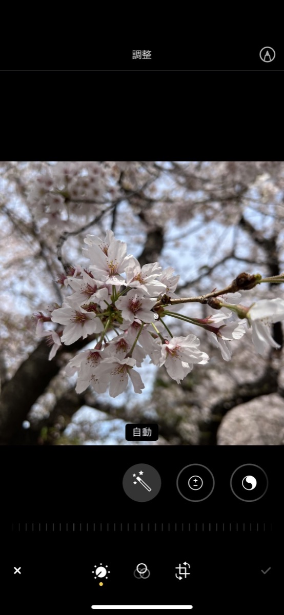 「写真」アプリの編集機能の画像