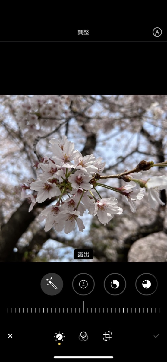 「写真」アプリの編集機能の画像