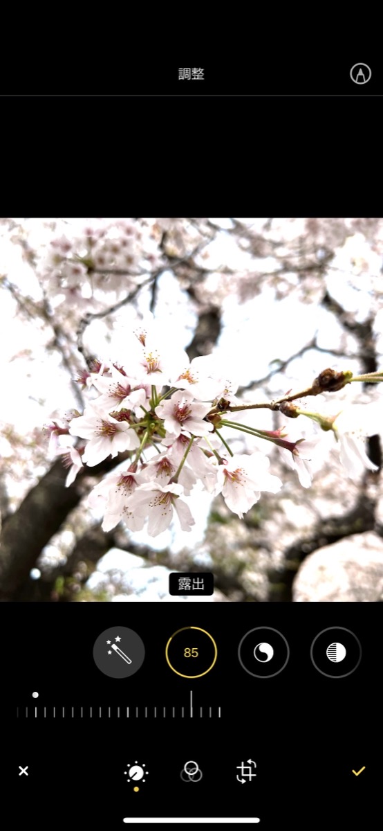 「写真」アプリの編集機能の画像