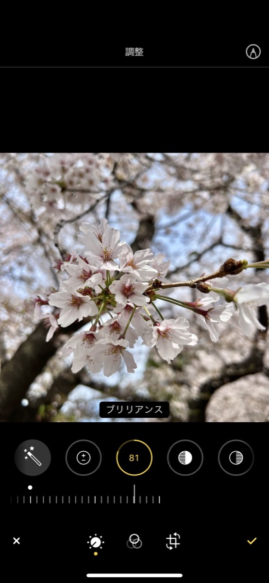 「写真」アプリの編集機能の画像