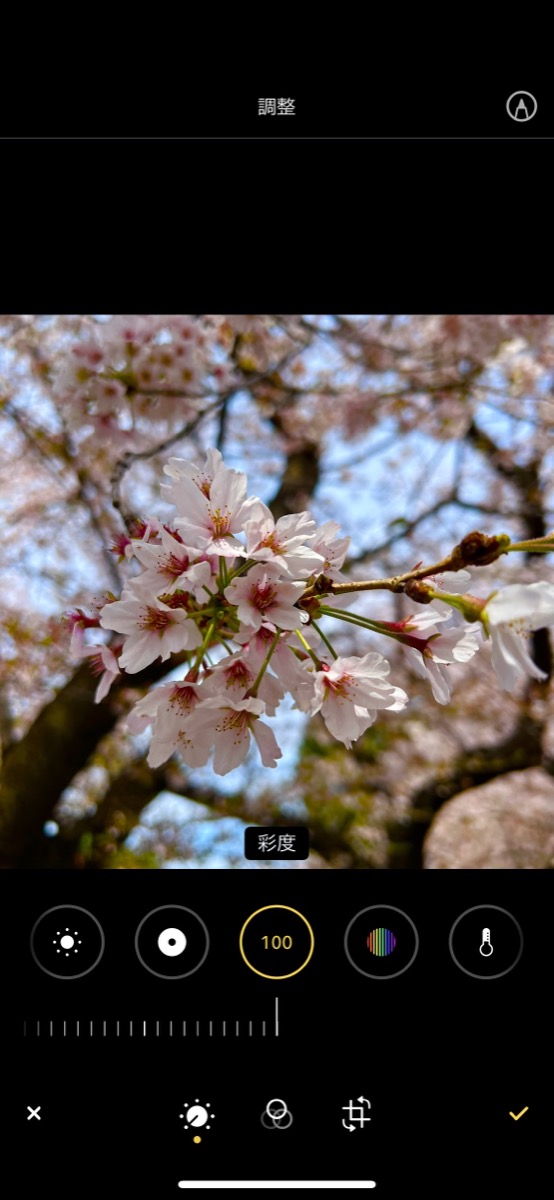 「写真」アプリの編集機能の画像