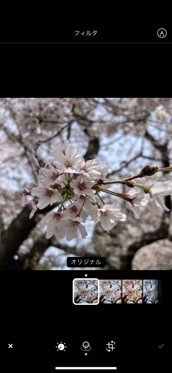 「写真」アプリの編集機能の画像