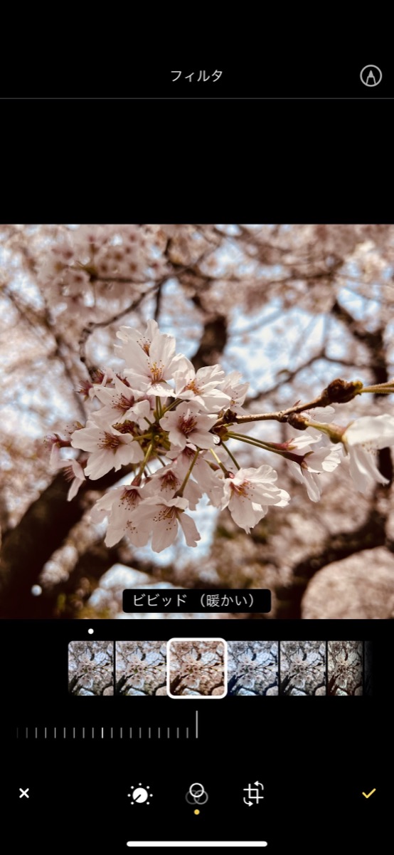 「写真」アプリの編集機能の画像