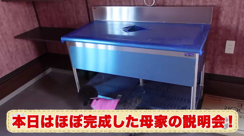 坂上忍、保護犬・猫と暮らす「さかがみ家」完成の画像